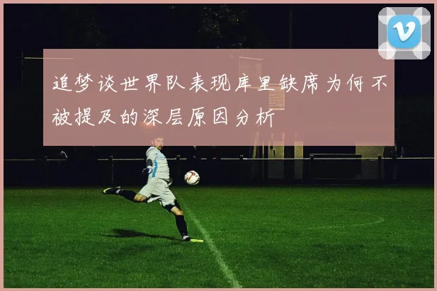 追梦谈世界队表现库里缺席为何不被提及的深层原因分析