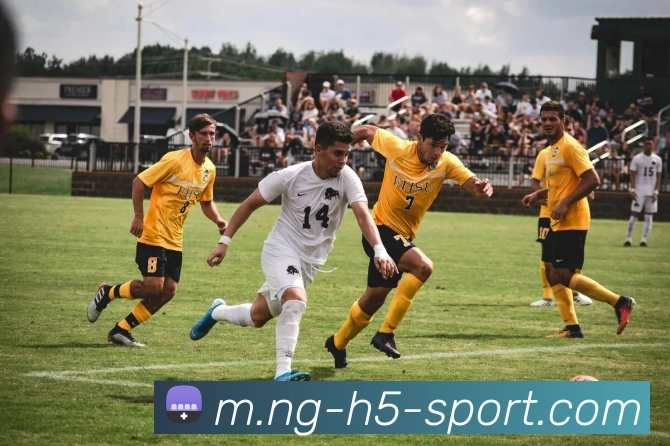 南宫体育服务体系